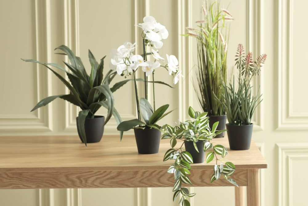  Les plantes artificielles