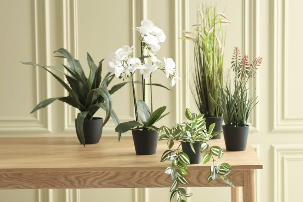 Plantes artificielles