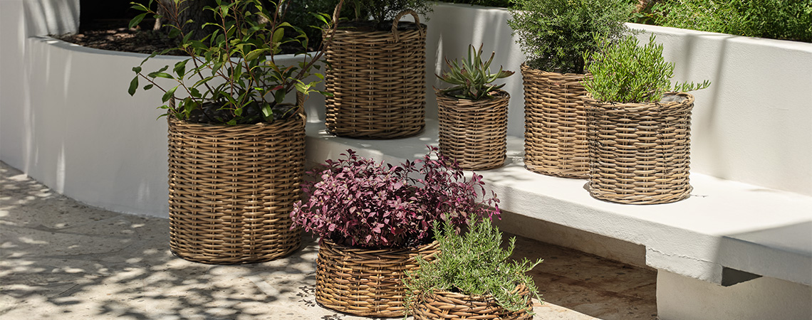 Jardinières et pots de jardin en rotin dans un jardin lumineux