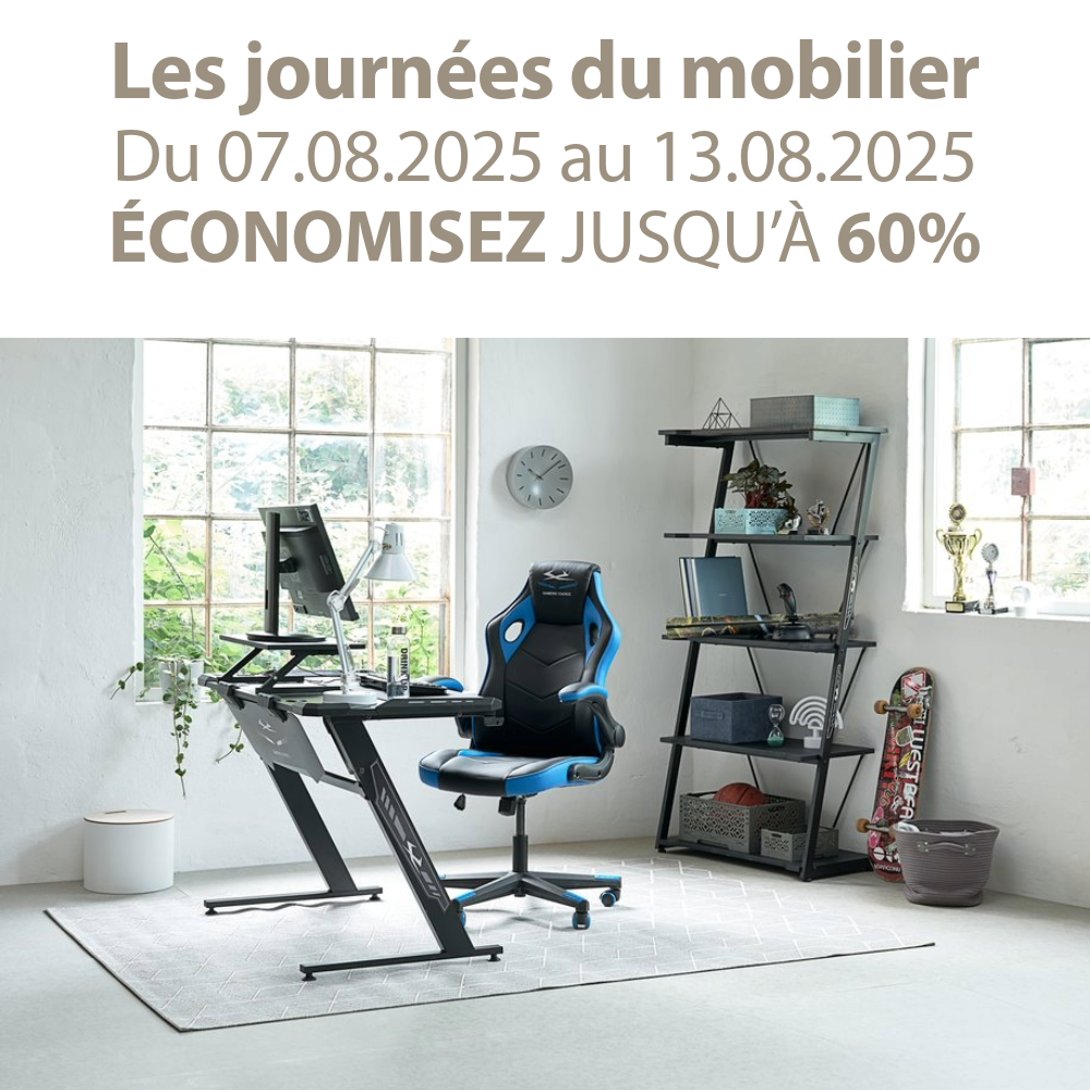 Les journées du mobilier 